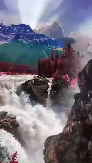 逃出猫头鹰岛