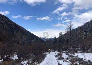 新熊出没找不同