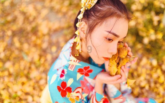 全民剧本大师内置菜单